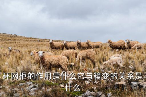 環(huán)網柜，環(huán)網柜的簡介和應用