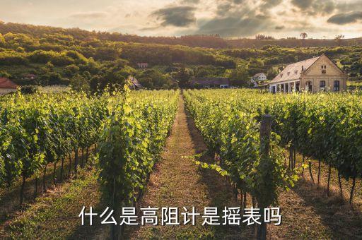 什么是高阻計(jì)是搖表嗎