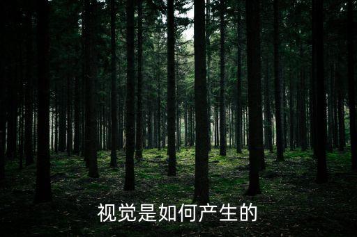 視覺是如何產(chǎn)生的