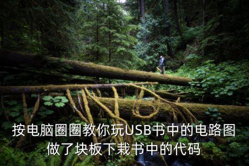 圈圈教你玩usb，用這個板子無法做圈圈教你玩USB上的實驗