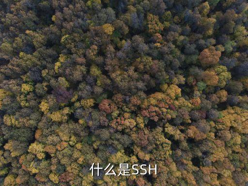 ssh，ssh是什么