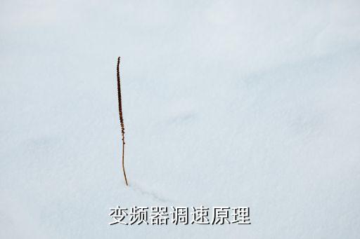 變頻器調(diào)速原理，變頻器調(diào)速原理