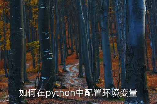 Python環(huán)境變量的配置，如何在python中配置環(huán)境變量