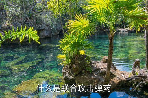 杰達(dá)姆，杰達(dá)姆采用什么指導(dǎo)方式