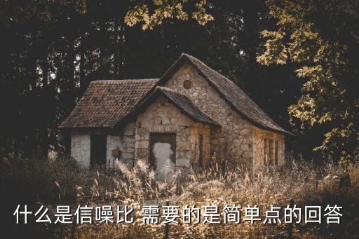 什么是信噪比 需要的是簡單點的回答
