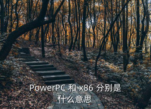 PowerPC，PowerPC能運(yùn)行什么操作系統(tǒng)