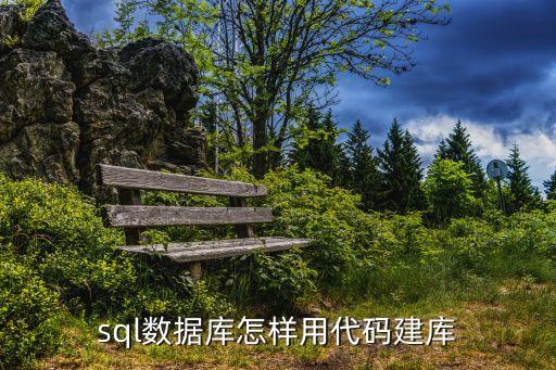 sql數(shù)據(jù)庫怎樣用代碼建庫