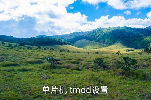 TMOD，單片機(jī)中tmod是什么意思