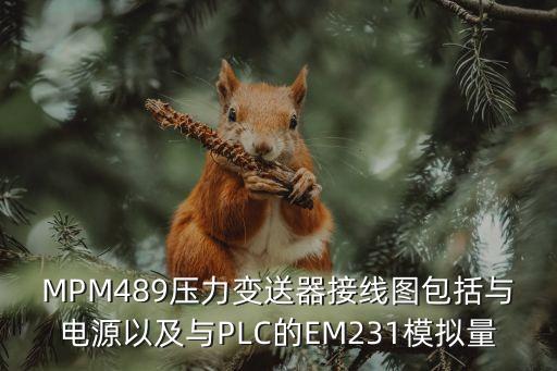 壓力變送器接線圖，MPM489壓力變送器接線圖包括與電源以及與PLC的EM231模擬量