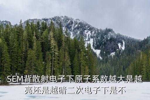 SEM背散射電子下原子系數(shù)越大是越亮還是越暗二次電子下是不