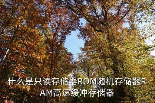 只讀存儲器，什么是只讀存貯器