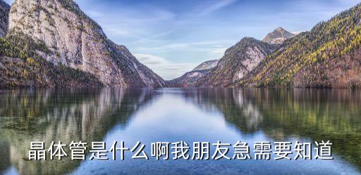 晶體管是什么啊我朋友急需要知道