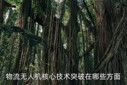 物流無人機(jī)核心技術(shù)突破在哪些方面