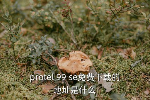 protel 99 se免費下載的地址是什么