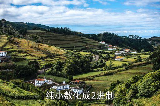 小數(shù)轉(zhuǎn)換成二進(jìn)制，純小數(shù)化成2進(jìn)制