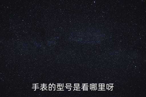 手表的型號(hào)是看哪里呀