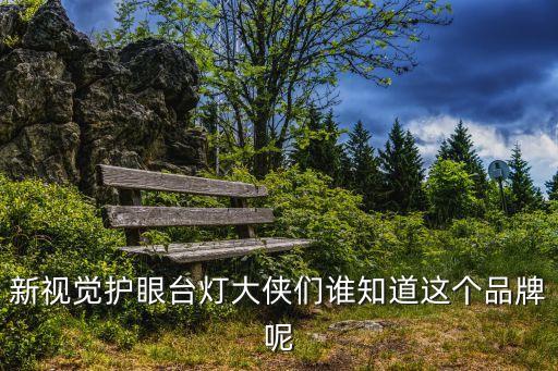 新視覺護眼臺燈大俠們誰知道這個品牌呢