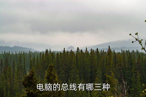 計算機總線，電腦的總線是哪幾個