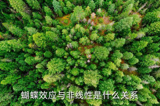 蝴蝶效應(yīng)與非線性是什么關(guān)系
