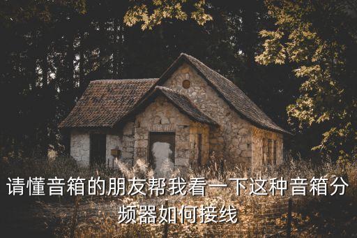 分頻器接線圖，請懂音箱的朋友幫我看一下這種音箱分頻器如何接線