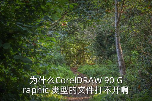 為什么CorelDRAW 90 Graphic 類(lèi)型的文件打不開(kāi)啊