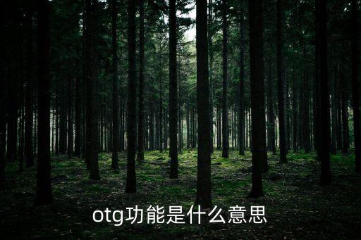 otg功能是什么意思