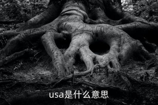 usa是什么意思