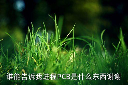 進程控制塊，誰能告訴我進程PCB是什么東西謝謝