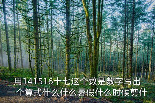 141516，長虹世紀榮廷141516在甚么位置