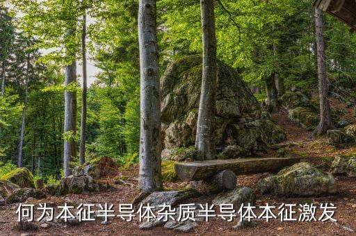 何為本征半導(dǎo)體雜質(zhì)半導(dǎo)體本征激發(fā)