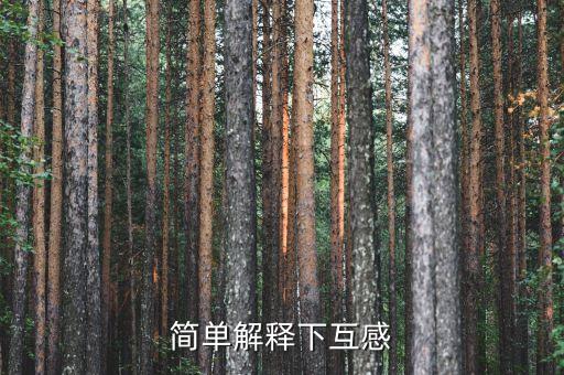 簡單解釋下互感