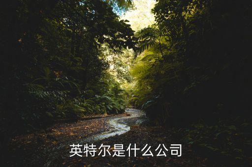 英特爾是什么公司
