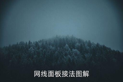 網(wǎng)線面板，56類網(wǎng)線面板模塊有什么區(qū)別接線模塊是模塊