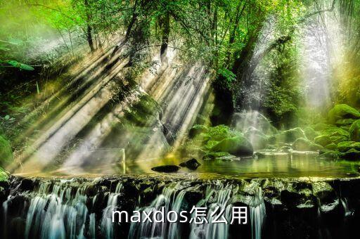 maxdos怎么用