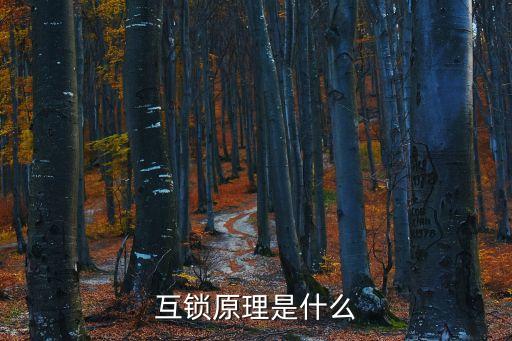 互鎖，什么是互鎖什么又是自鎖