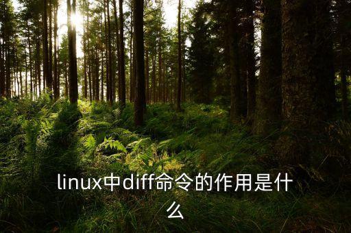 linux中diff命令的作用是什么