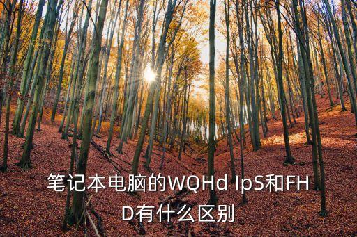 筆記本電腦的WQHd IpS和FHD有什么區(qū)別