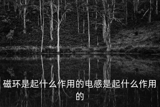 磁環(huán)是起什么作用的電感是起什么作用的