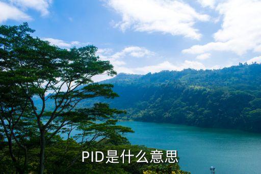 PID是什么意思