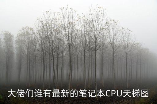 大佬們誰有最新的筆記本CPU天梯圖