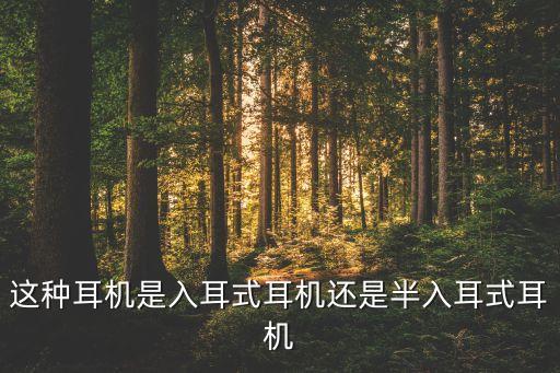 半入耳式耳機(jī)，這種耳機(jī)是入耳式耳機(jī)還是半入耳式耳機(jī)