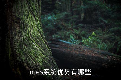mes系統(tǒng)優(yōu)勢(shì)有哪些