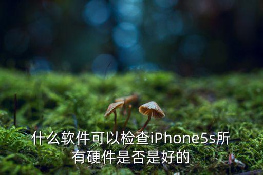什么軟件可以檢查iPhone5s所有硬件是否是好的