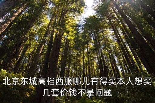 北京東城高檔西服哪兒有得買(mǎi)本人想買(mǎi)幾套價(jià)錢(qián)不是問(wèn)題