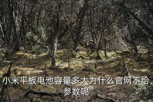 小米平板1參數(shù)，小米平板1支持幾點觸控最好有配置圖謝了