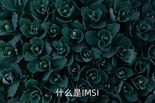 imsi，手機(jī)IMSI碼是什么意思