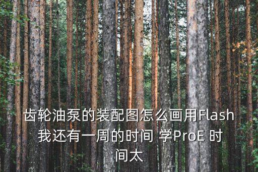 齒輪油泵裝配圖，齒輪油泵的零件圖和裝配圖能給我一份嗎