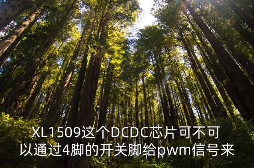 XL1509這個(gè)DCDC芯片可不可以通過4腳的開關(guān)腳給pwm信號來