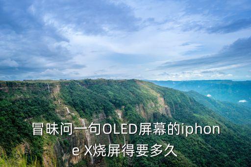 冒昧問一句OLED屏幕的iphone X燒屏得要多久