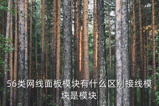 56類網(wǎng)線面板模塊有什么區(qū)別接線模塊是模塊